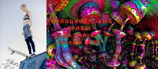 PSILOCYBIN Бронницы